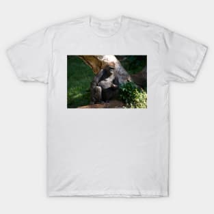 Gorilla - Grumpy T-Shirt